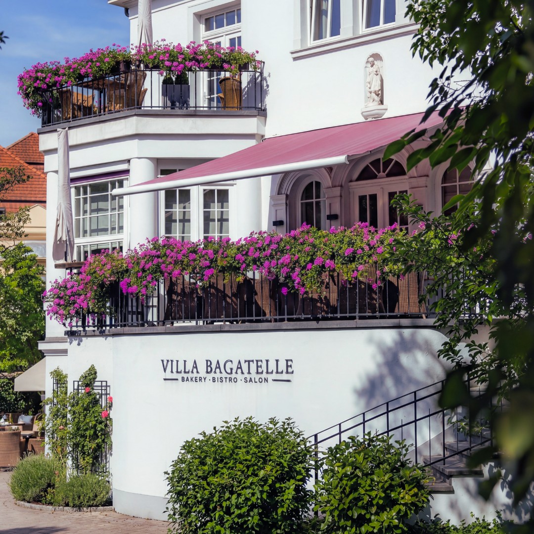 Villa növények